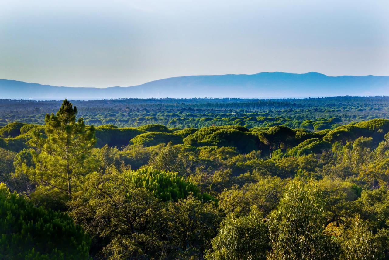 A Serenada Enoturismo Grândola Dış mekan fotoğraf