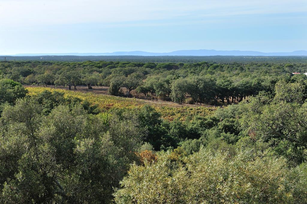 A Serenada Enoturismo Grândola Dış mekan fotoğraf